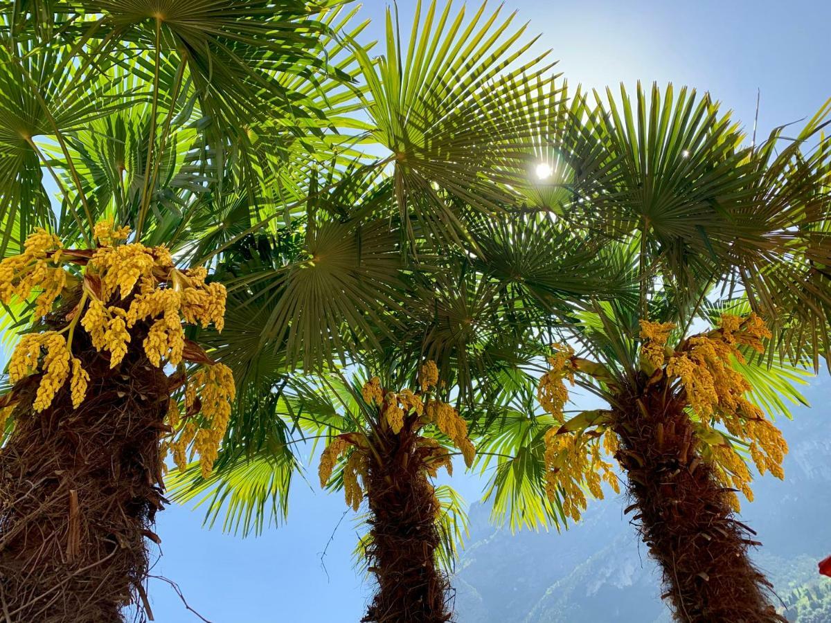 Albola Suite Holiday Apartments Riva del Garda Bagian luar foto